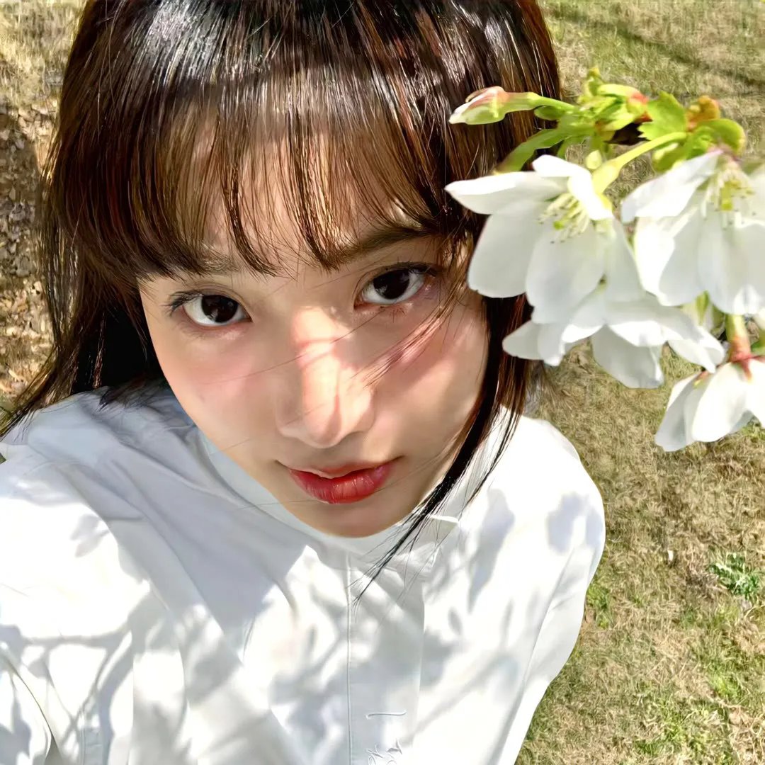 泡影昙花 在线观看